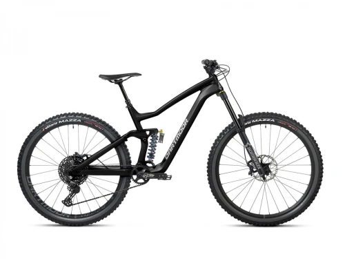 Rower Thunderbird CF Evo, karbon, koła 29", Czarny/Grafit mat, Medium