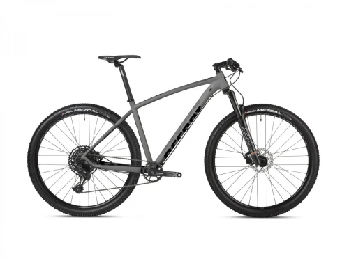 Rower MTB 29" POINT SX EAGLE grey-black, L