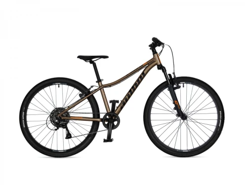 A-MATRIX 26 13,5" Ritual Silver matte, widelec Black matte, rower AUTHOR 2026