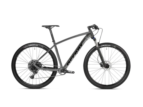 Rower MTB 29" POINT NX EAGLE 2022, szaro-czarny, M ACCENT’22 (nowy)
